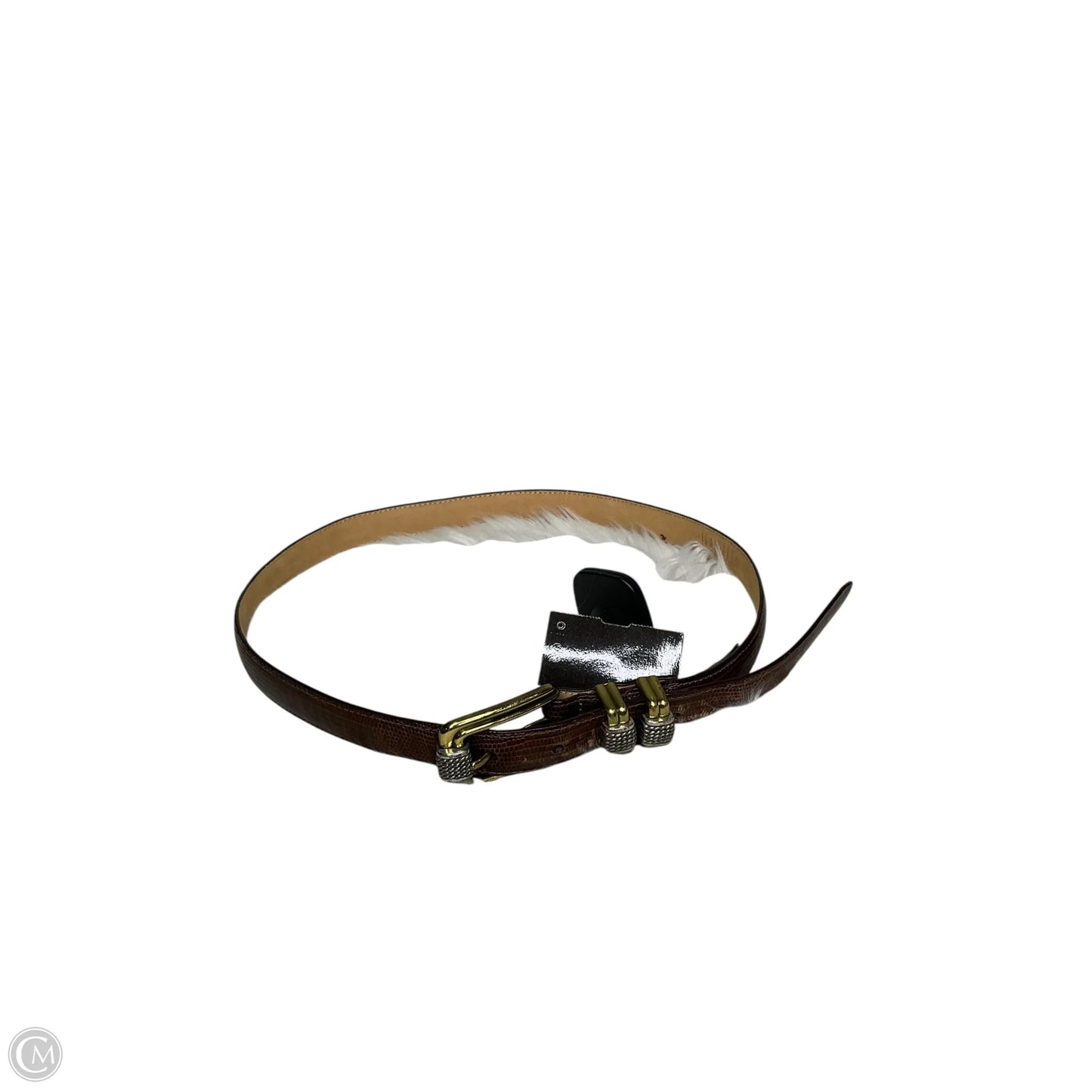 Belt By Brighton