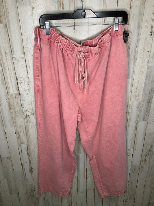 Pants Other By Altard State  Size: 1x