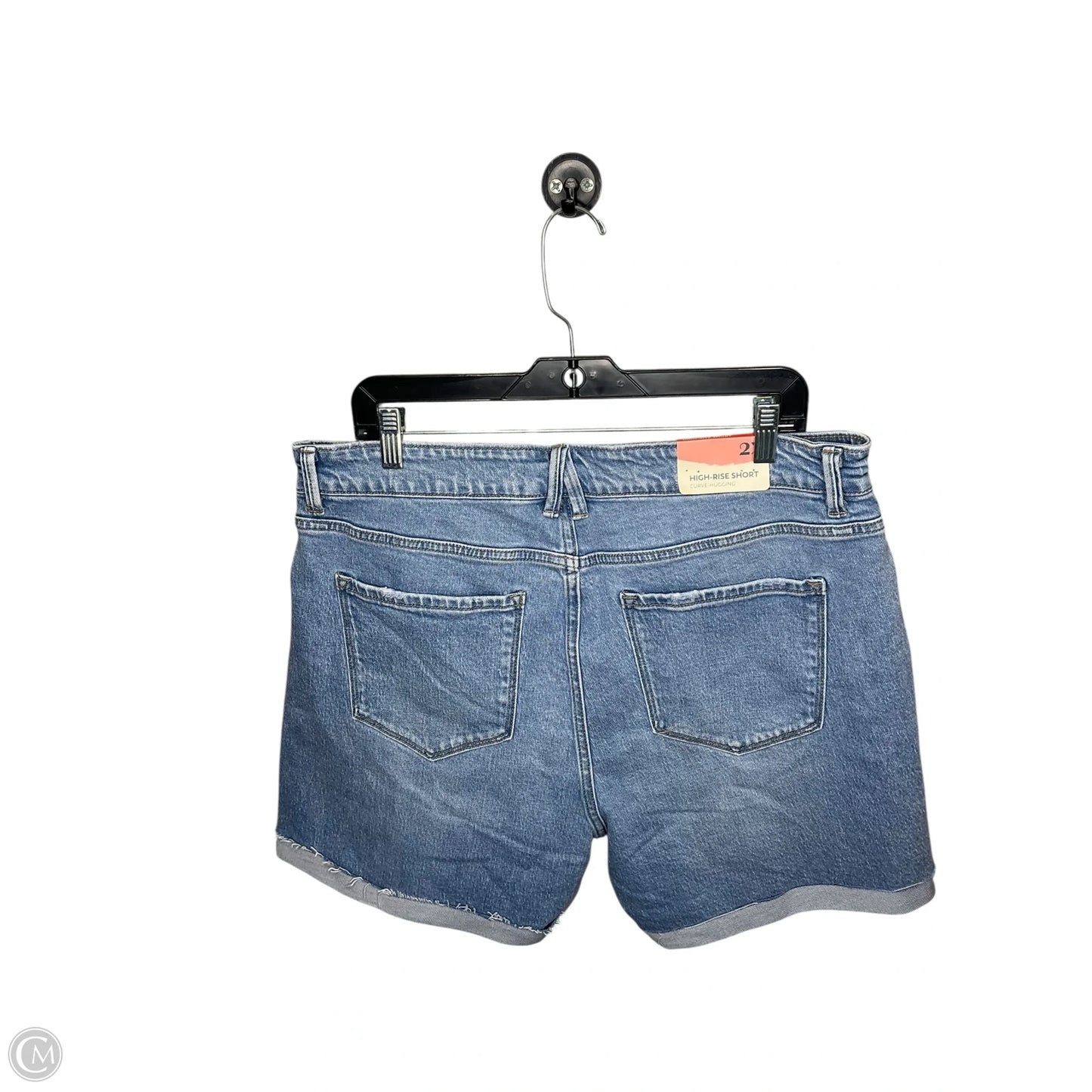 Shorts By Altard State In Blue, Size: 2x