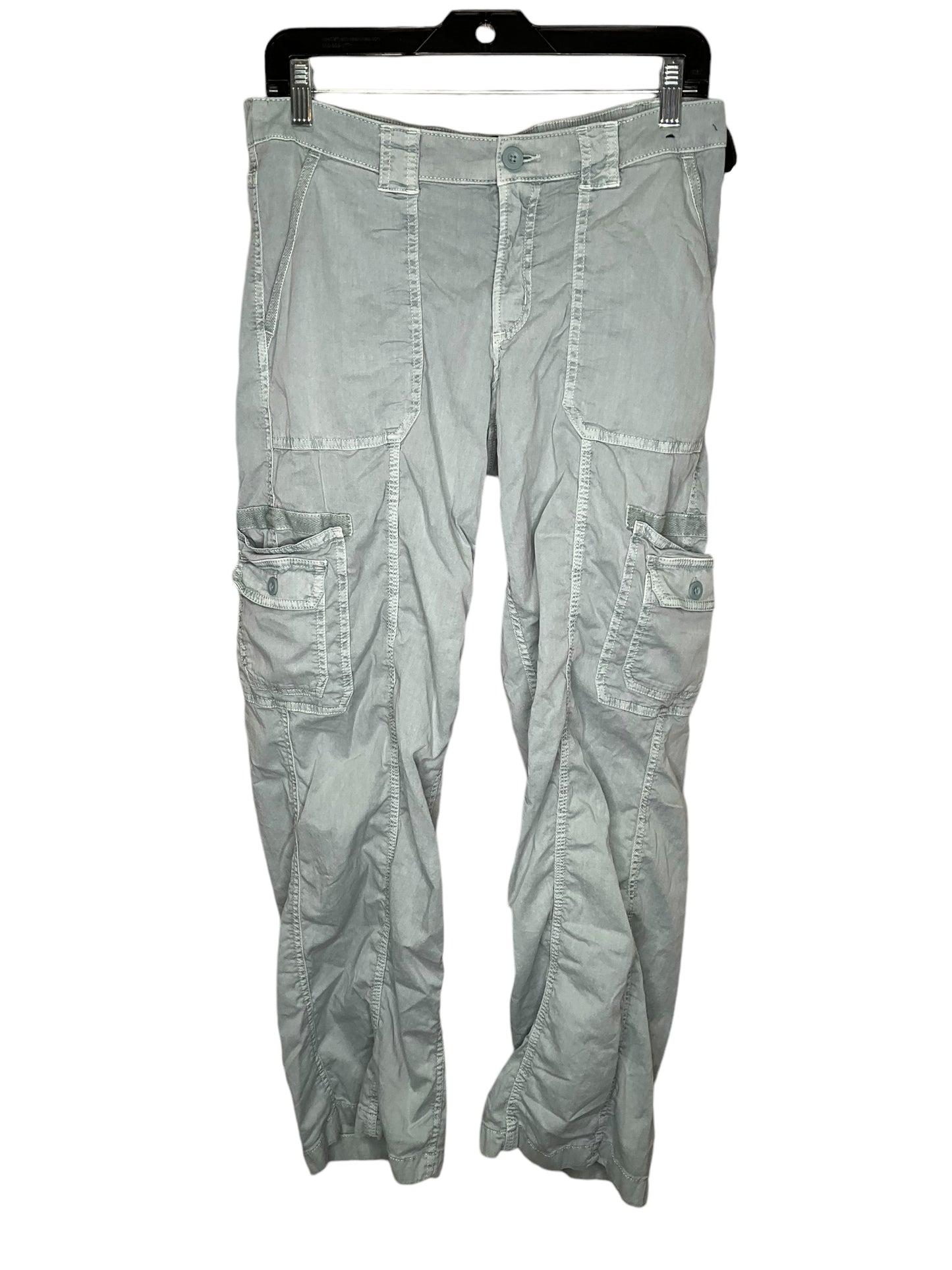 Pants Cargo & Utility By Hollister In Blue, Size: S