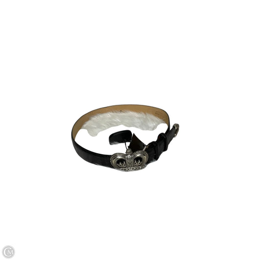 Belt By Brighton